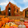 best los angeles pumpkin patches