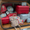 Beis x Disney Travel Collaboration